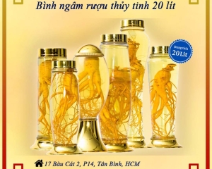 Bình ngâm rượu thủy tinh 20 lít có vòi và không vòi