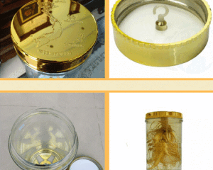 Bình Phú Hòa 25.8 lít