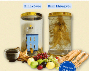 Bình Phú Hòa 25.8 lít