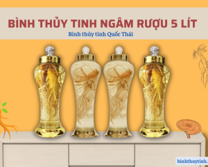 Bình Phú Hòa 5 lít