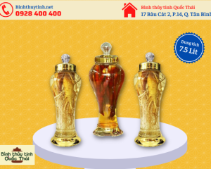 Bình Phú Hòa 7.5L