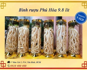 Bình phú hòa 9.8L (Mã HS9.8 - HS 9.8V)