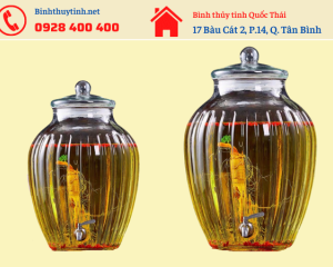Các mẫu bình thủy tinh ngâm rượu 100 lít đẹp nhất, bền nhất