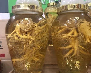 Bình thủy tinh ngâm rượu 10L hàng xịn, bền đẹp, giá rẻ nhất