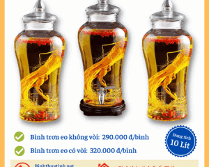 Bình thủy tinh ngâm rượu 10L hàng xịn, bền đẹp, giá rẻ nhất
