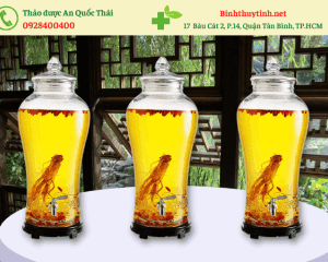 Bình thủy tinh ngâm rượu 15L