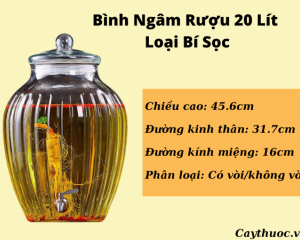 Bình thủy tinh ngâm rượu 20L có vòi & không vòi uy tín, giá tốt