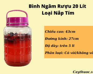 Bình thủy tinh ngâm rượu 20L có vòi & không vòi uy tín, giá tốt