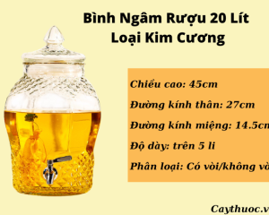 Bình thủy tinh ngâm rượu 20L có vòi & không vòi uy tín, giá tốt