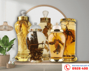 Bình thủy tinh ngâm rượu 50 lít nắp mài có van và không van