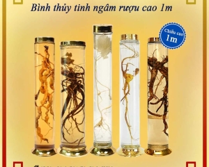 Bình thủy tinh ngâm rượu cao 1m nhiều loại thể tích