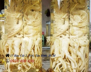 Bình thủy tinh ngâm rượu cao 1m nhiều loại thể tích Bình thủy tinh ngâm rượu cao 1m nhiều loại thể tích
