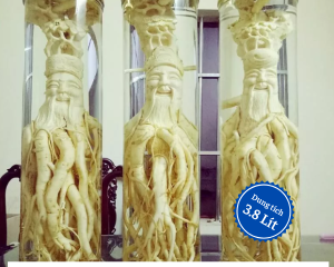 Bình trụ Phú Hòa 3.8L