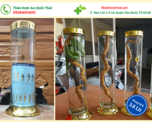 Bình trụ Phú Hòa 3.8L