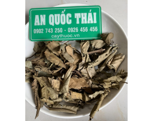 Cách chữa bệnh gút bằng thuốc nam đơn giản, hiệu quả nhất