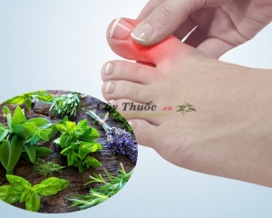 Cách chữa bệnh gút bằng thuốc nam đơn giản, hiệu quả nhất