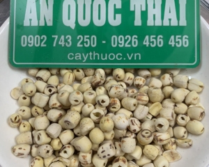 Cách nấu chè hạt sen thơm ngon bổ dưỡng