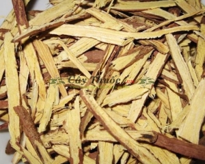 Cam thảo [Tác dụng, cách dùng] Mua cam thảo ở đâu tại TP Hồ Chí Minh