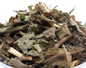 Cây an xoa có tác dụng để chữa các bệnh nặng về gan thần kỳ.