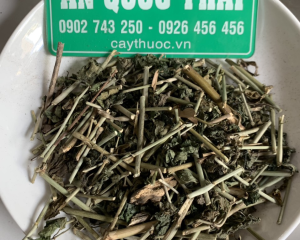 Cây bìm bịp [tác dụng, cách sử dụng] hỗ trợ trị bệnh ung thư