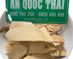 Cây cần sen vị thuốc quý chữa bệnh ung thư tuyệt diệu mà bạn nên biết.