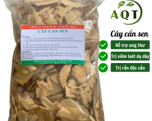 Cây cần sen vị thuốc quý chữa bệnh ung thư tuyệt diệu mà bạn nên biết.