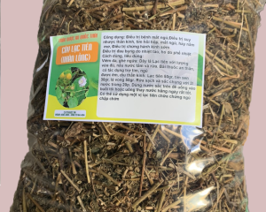 Cây chùm bao chữa bệnh gì? Hình ảnh, tác dụng, cách sử dụng cây chùm bao