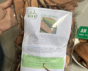 Cây Cỏ Máu [Là cây gì,tác dụng gì, chữa bệnh gì]thần dược cho sức khỏe