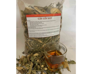 Cây cối xay có tác dụng gì? Cây cối xay chữa bệnh gì? Mua ở đâu tốt?