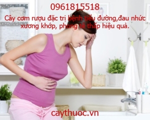 Cây Cơm Rượu thần dược điều trị bệnh tiểu đường vượt trội