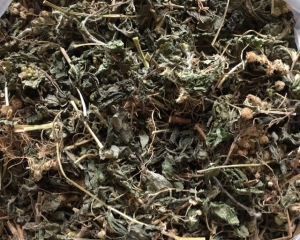 Cây cứt lợn có tác dụng gì? Cách chữa viêm xoang bằng cây cứt lợn