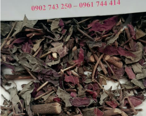 Cây đơn đỏ có tác dụng thanh nhiêt, giải độc, chữa mề đay hiệu quả.