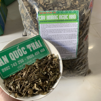Tác dụng của cây hoàn ngọc chữa bệnh gì? Cách dùng cây hoàn ngọc.