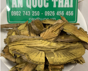 Cây hoàng đằng là gì? Tác dụng, cách sử dụng chữa bệnh hiệu quả.