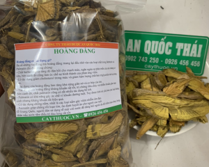 Cây hoàng đằng là gì? Tác dụng, cách sử dụng chữa bệnh hiệu quả.