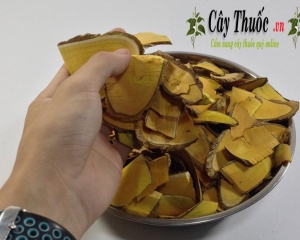 Cây mật gấu miền Bắc