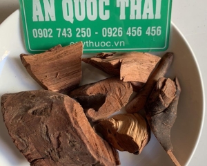 Cây mú từn ngâm rượu công dụng chữa yếu sinh lý, sự thật kinh ngạc.