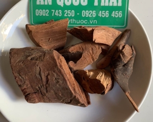 Cây mú từn ngâm rượu công dụng chữa yếu sinh lý, sự thật kinh ngạc.