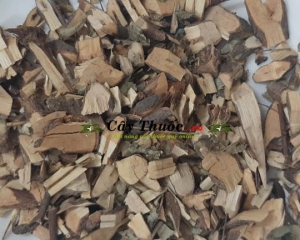 Cây mực là gì? Tác dụng và cách dùng cây mực trị bệnh hiệu quả