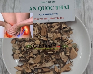 Cây mực là gì? Tác dụng và cách dùng cây mực trị bệnh hiệu quả