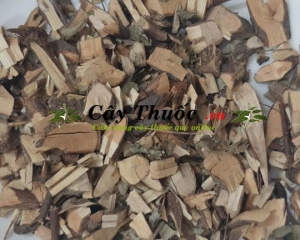 Cây phèn đen có tác dụng chữa bệnh gì? Địa chỉ mua cây phèn đen ở đâu?