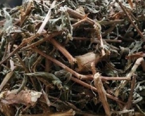 Cây rau mương: Thuốc quý tiêu diệt khuẩn HP, chữa đau dạ dày