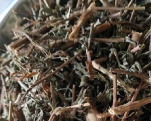 Cây rau mương: Thuốc quý tiêu diệt khuẩn HP, chữa đau dạ dày