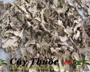 Cây rẻ quạt có tác dụng chữa viêm họng hạt, ho với bài thuốc hay.