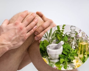 Cây thuốc nam chữa bệnh đau nhức xương khớp hiệu quả nhất