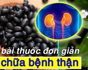 Top cây thuốc nam chữa bệnh thận và bài thuốc chữa bệnh suy thận