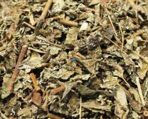 Chè dây có tác dụng gì? Cách sử dụng cây chè (trà) dây chữa bệnh.