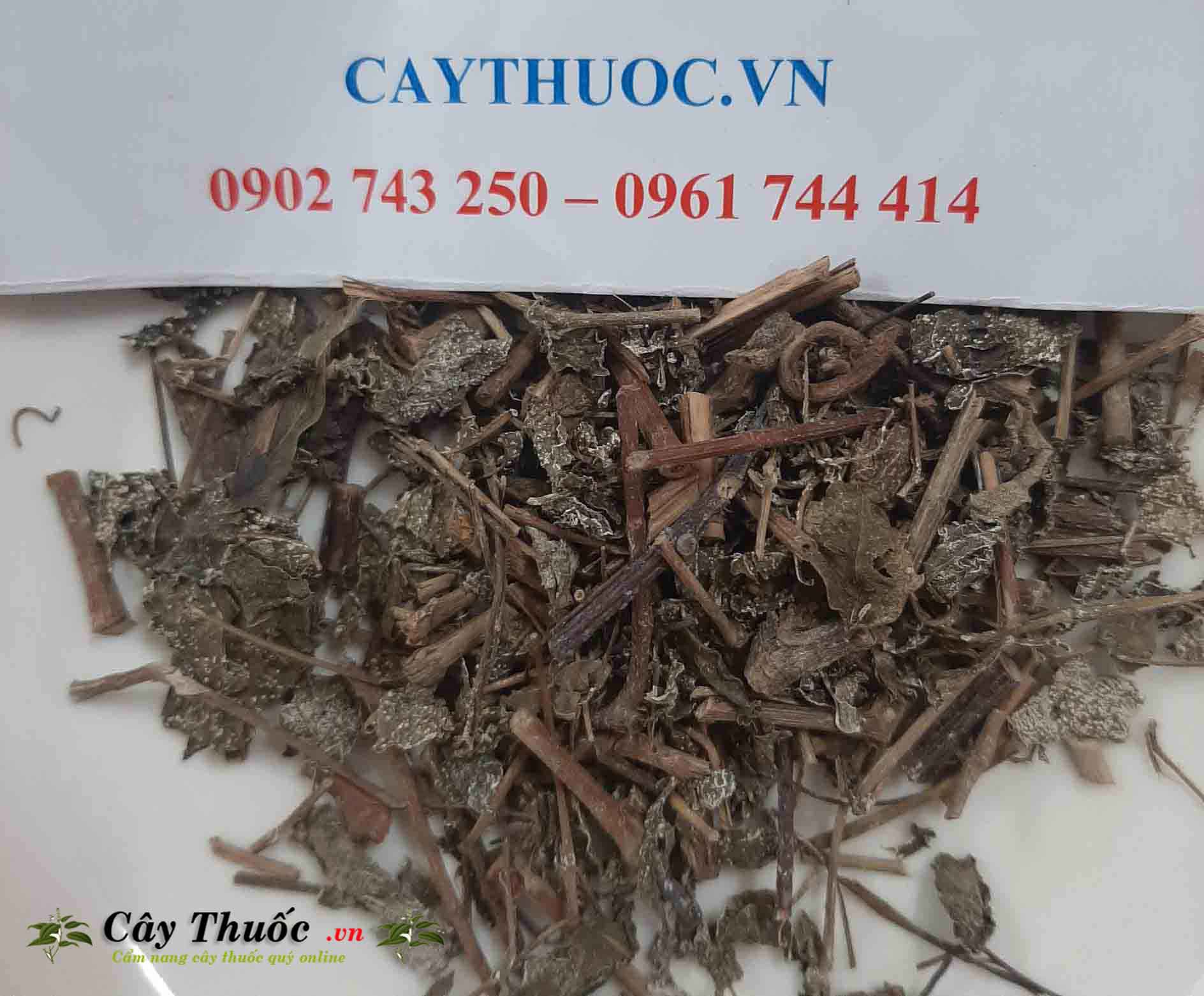 Chè dây có tác dụng gì? Cách sử dụng cây chè (trà) dây chữa bệnh.