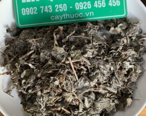 Chè dây có tác dụng gì? Cách sử dụng cây chè (trà) dây chữa bệnh.