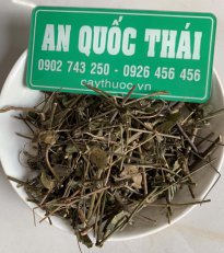 Chè vằng có tác dụng giảm cân, lợi sữa?  Chè vằng sẻ mua ở đâu uy tín?